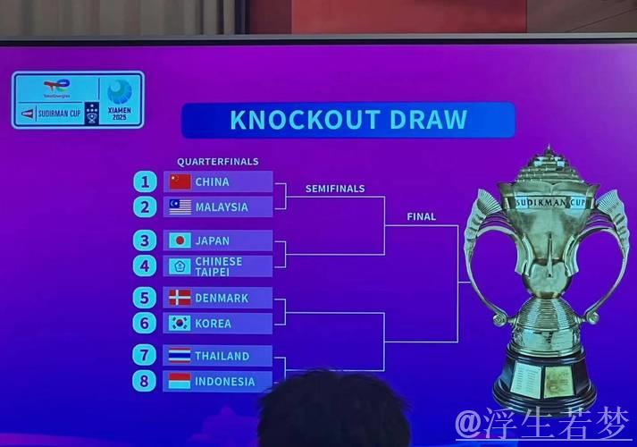 苏迪曼杯小组赛：日本对阵马来西亚第三场比赛